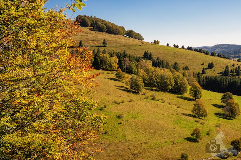 Wanderung - Schwarzwälder Genießerpfad - Bernauer Hochtal Steig