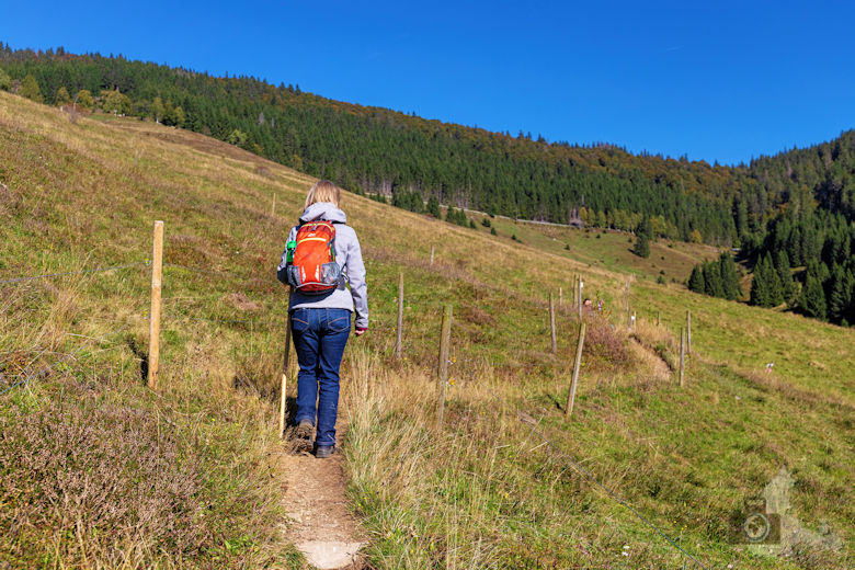 Wanderung - Schwarzwälder Genießerpfad - Bernauer Hochtal Steig