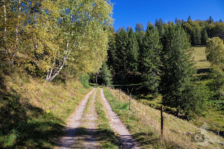 Wanderung - Schwarzwälder Genießerpfad - Bernauer Hochtal Steig