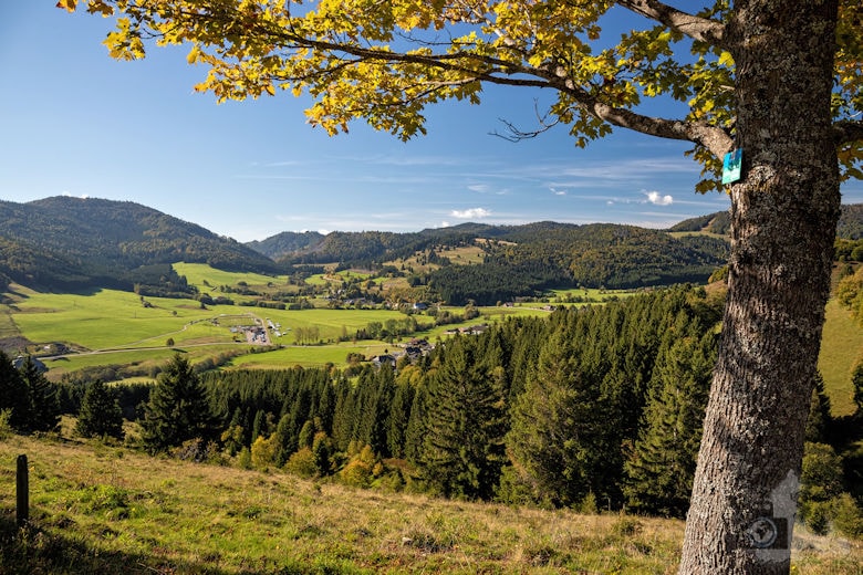 Wanderung - Schwarzwälder Genießerpfad - Bernauer Hochtal Steig