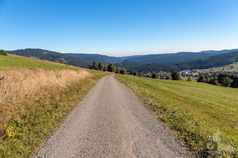 Wanderung - Schwarzwälder Genießerpfad - Bernauer Hochtal Steig - Panoramaweg