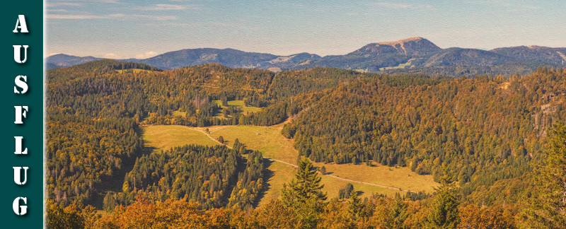 Wanderung - Schwarzwälder Genießerpfad - Bernauer Hochtal Steig