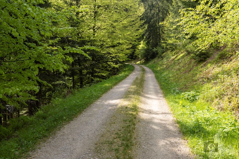 Schwarzwälder Genießerpfad - Teufelskanzelsteig - Wanderweg