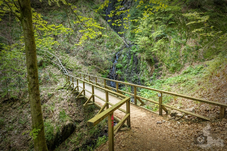 Schwarzwälder Genießerpfad - Teufelskanzelsteig - Wasserfall