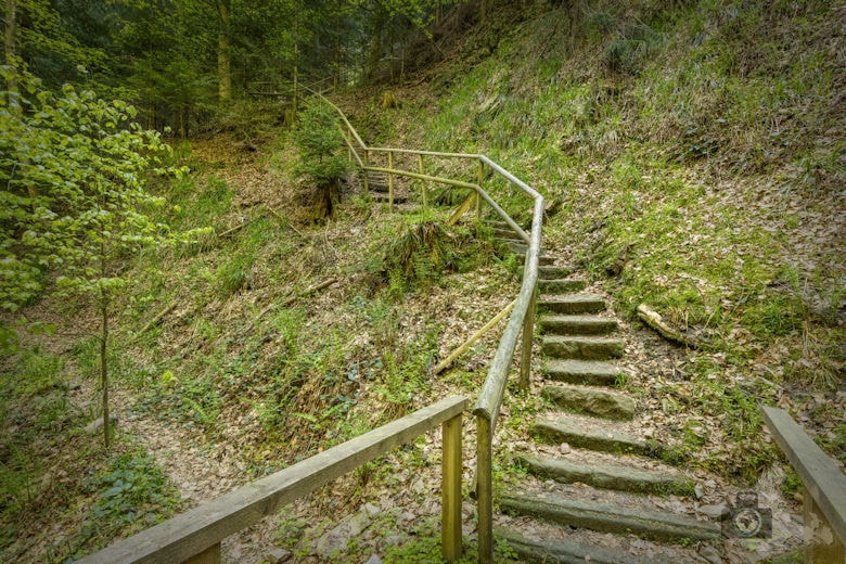 Schwarzwälder Genießerpfad - Teufelskanzelsteig - Treppen