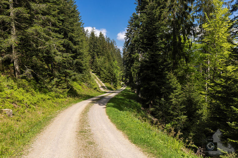 Schwarzwälder Genießerpfad - Teufelskanzelsteig - Wanderweg