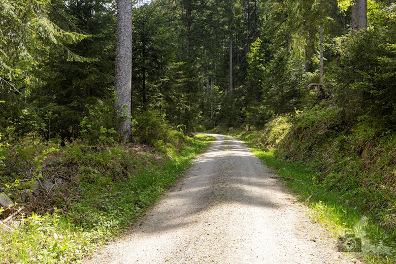 Schwarzwälder Genießerpfad - Teufelskanzelsteig - Wanderweg