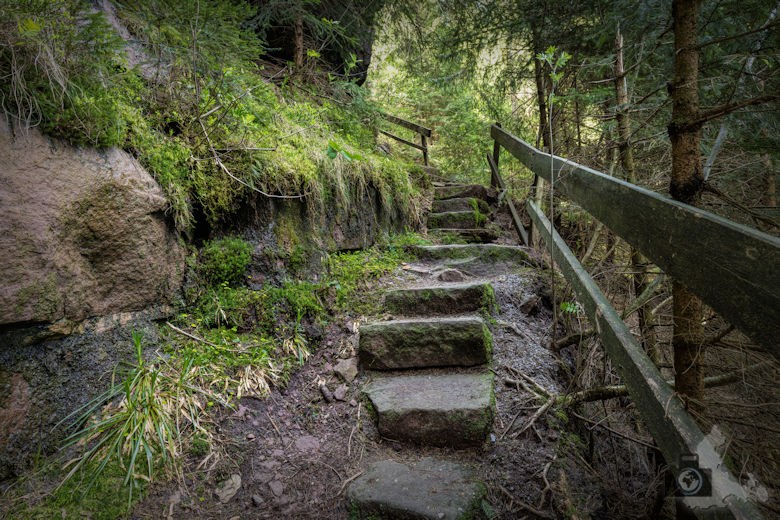 Schwarzwälder Genießerpfad - Teufelskanzelsteig - Treppen