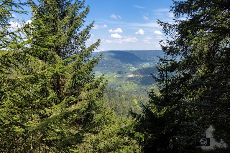 Schwarzwälder Genießerpfad - Teufelskanzelsteig - Schwarzwald