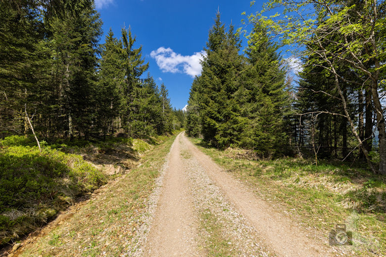 Schwarzwälder Genießerpfad - Teufelskanzelsteig - Wanderweg