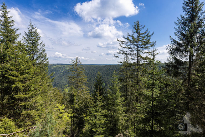 Schwarzwälder Genießerpfad - Teufelskanzelsteig - Schwarzwald