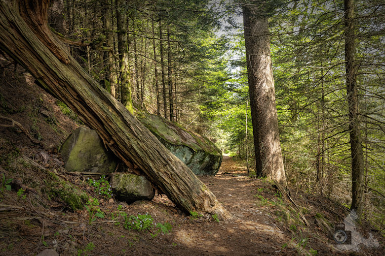 Schwarzwälder Genießerpfad - Teufelskanzelsteig - Bärenfelsen