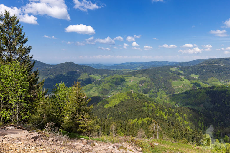 Schwarzwälder Genießerpfad - Teufelskanzelsteig - Aussichtspunkt Marienruhe
