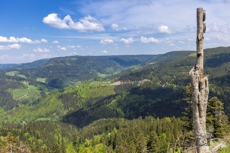 Schwarzwälder Genießerpfad - Teufelskanzelsteig - Schwarzwald