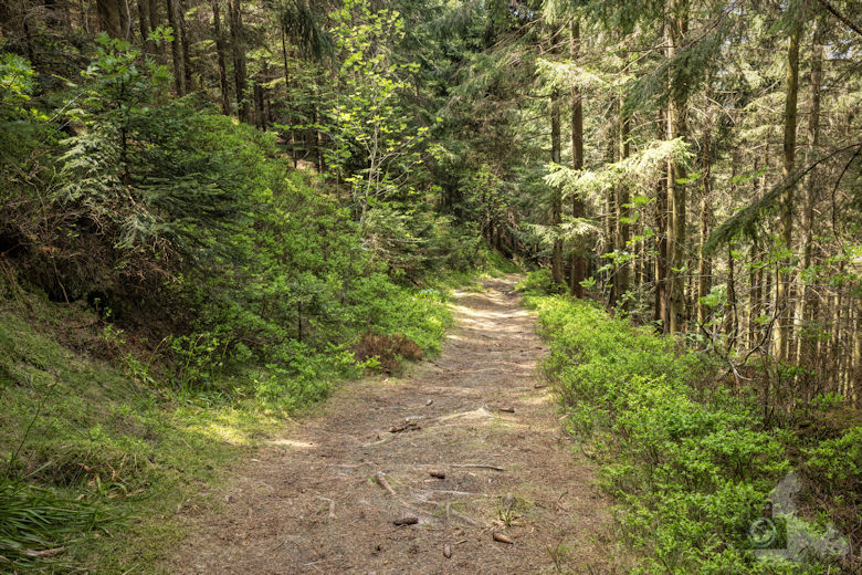 Schwarzwälder Genießerpfad - Teufelskanzelsteig - Wanderweg