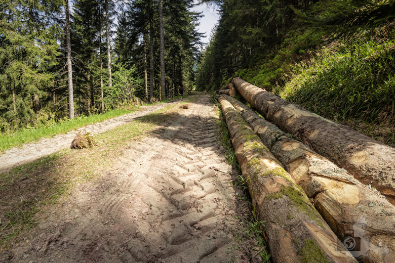 Schwarzwälder Genießerpfad - Teufelskanzelsteig - Wanderweg