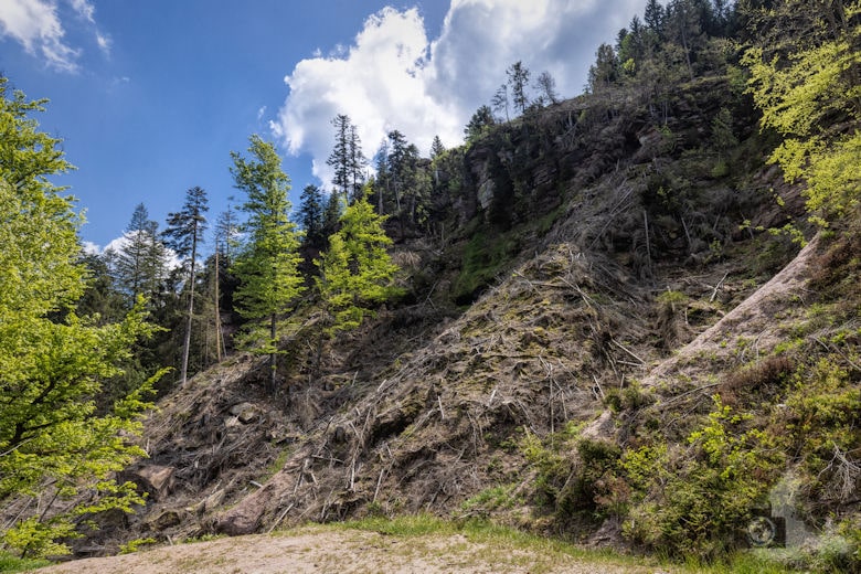 Schwarzwälder Genießerpfad - Teufelskanzelsteig - Rappenschliff