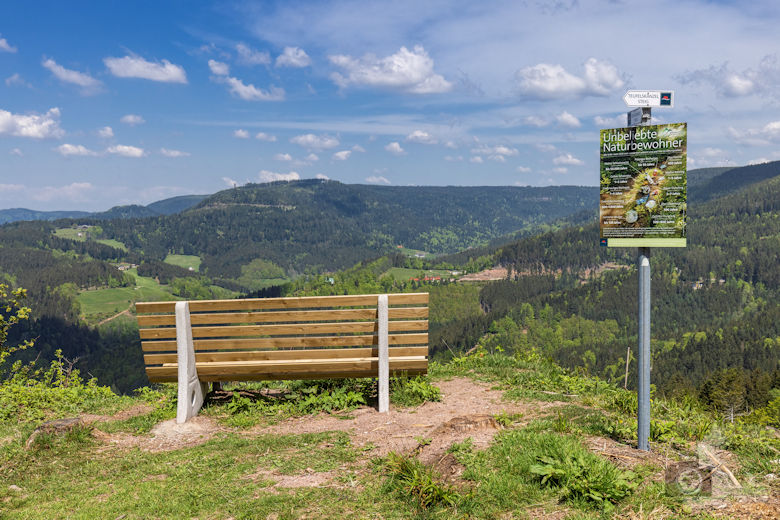 Schwarzwälder Genießerpfad - Teufelskanzelsteig - Aussichtsbank