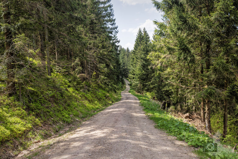 Schwarzwälder Genießerpfad - Teufelskanzelsteig - Wanderweg
