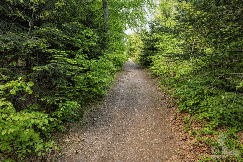 Schwarzwälder Genießerpfad - Teufelskanzelsteig - Wanderweg