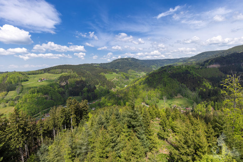 Schwarzwälder Genießerpfad - Teufelskanzelsteig - Schwarzwald