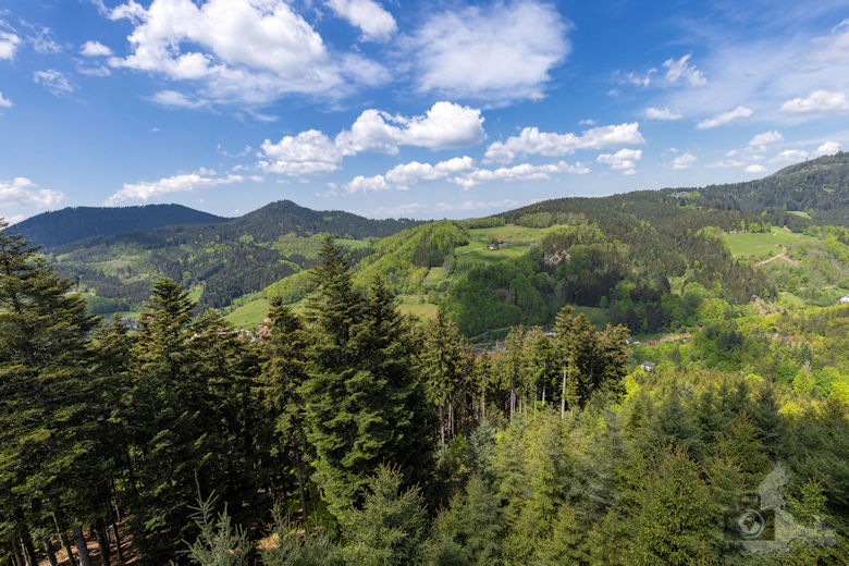 Schwarzwälder Genießerpfad - Teufelskanzelsteig - Schwarzwald