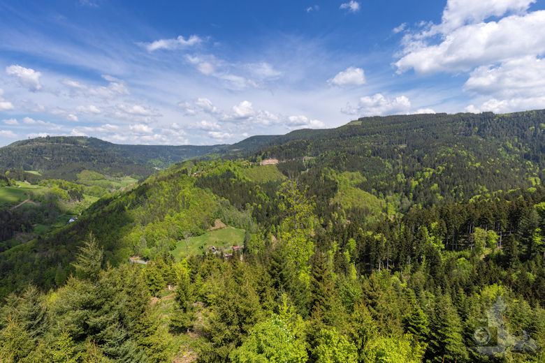 Schwarzwälder Genießerpfad - Teufelskanzelsteig - Schwarzwald