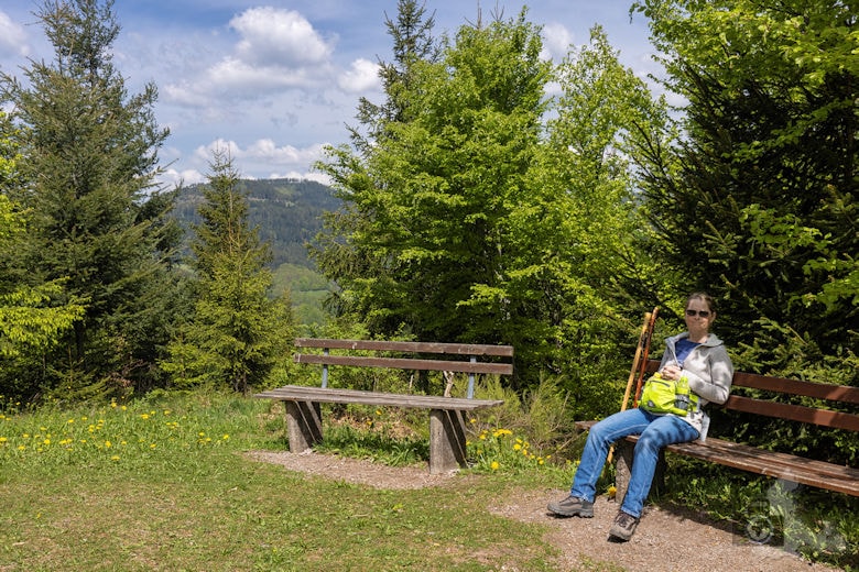 Schwarzwälder Genießerpfad - Teufelskanzelsteig - Aussichtsbank