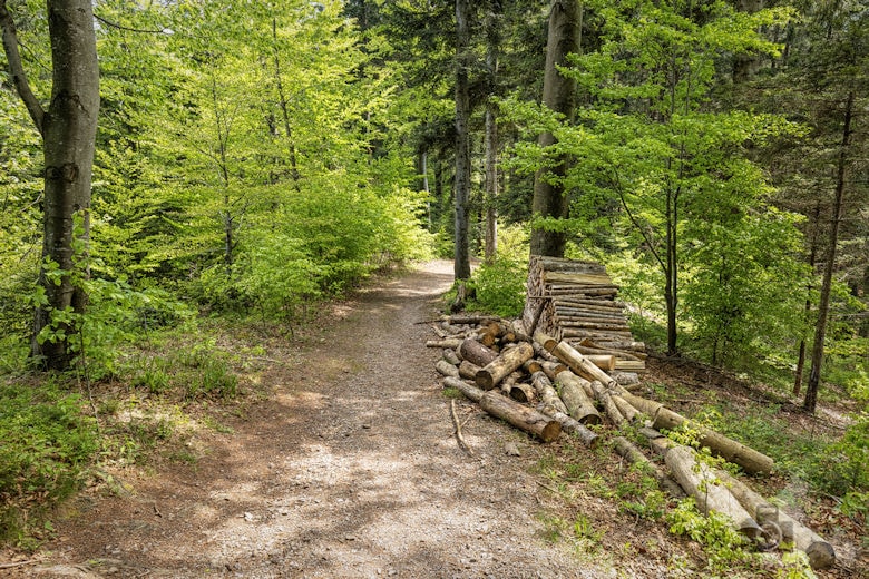 Schwarzwälder Genießerpfad - Teufelskanzelsteig - Wanderweg