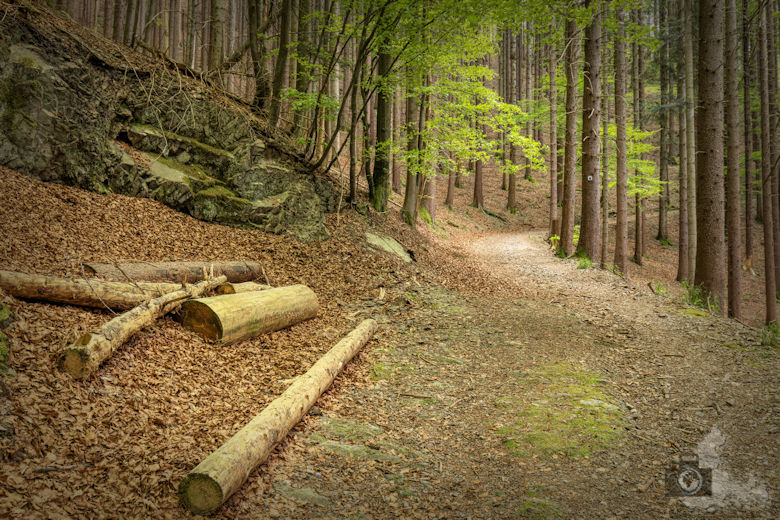 Schwarzwälder Genießerpfad - Teufelskanzelsteig - Wanderweg