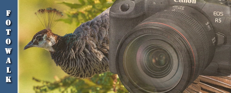 Fotowalk - Tierfotografie mit der Canon EOS R5 auf dem Mundenhof