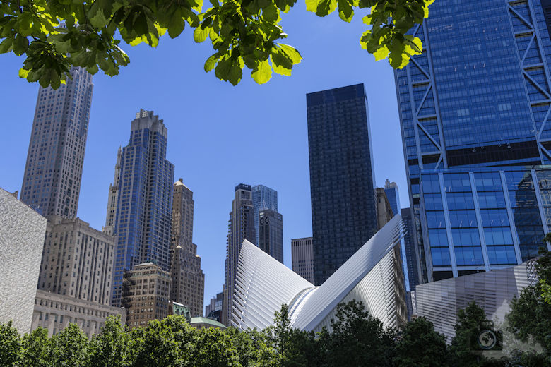 New York Highlights - Oculus