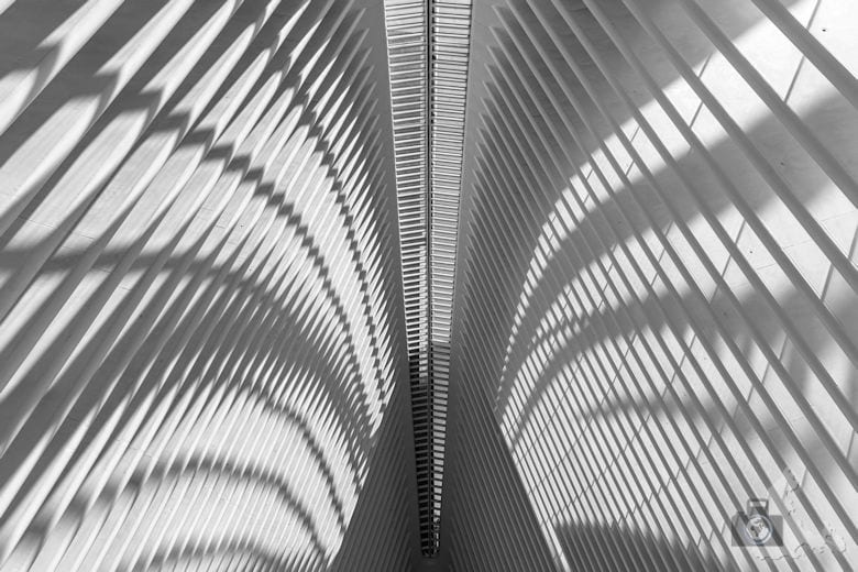 New York Highlights - Oculus