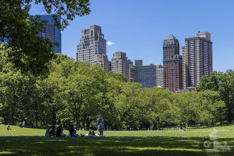 New York - Central Park