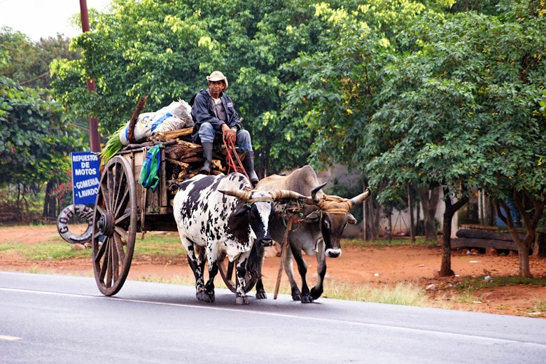 Steckbrief Paraguay