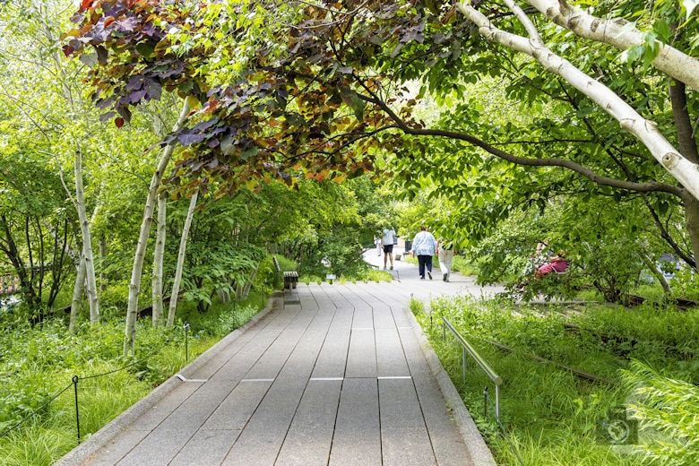 New York - High Line