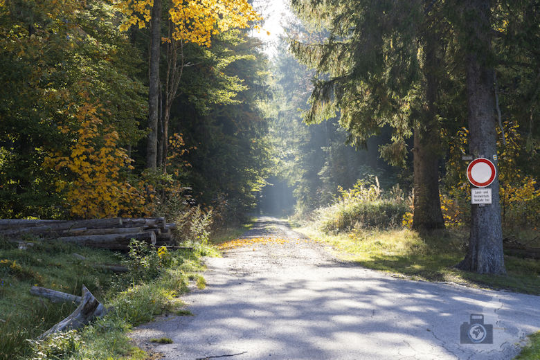 Schwarzwälder Genießerpfad - Viadukt- und Schluchtentour im Herbst
