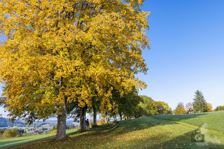 Schwarzwälder Genießerpfad - Viadukt- und Schluchtentour im Herbst