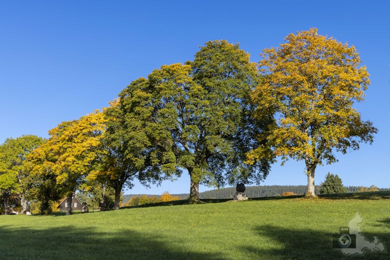 Schwarzwälder Genießerpfad - Viadukt- und Schluchtentour im Herbst