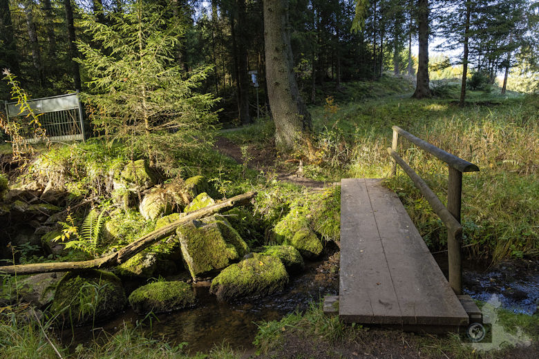 Schwarzwälder Genießerpfad - Viadukt- und Schluchtentour im Herbst - Brücke