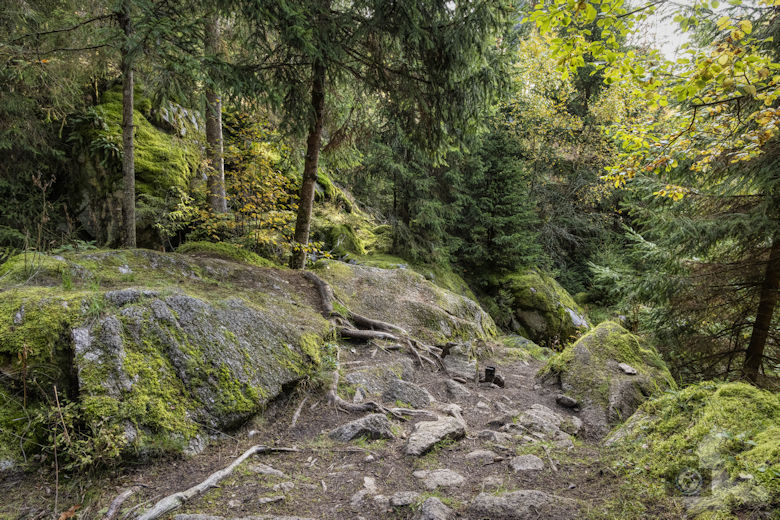Schwarzwälder Genießerpfad - Viadukt- und Schluchtentour im Herbst