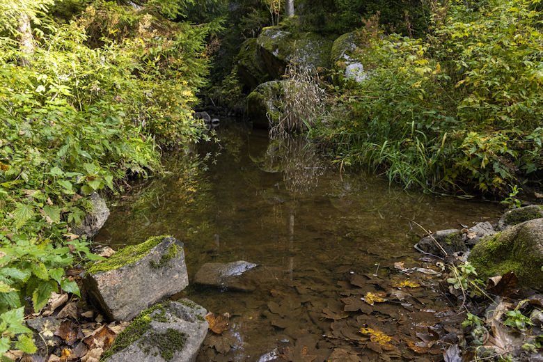 Schwarzwälder Genießerpfad - Viadukt- und Schluchtentour im Herbst - Wasserfall