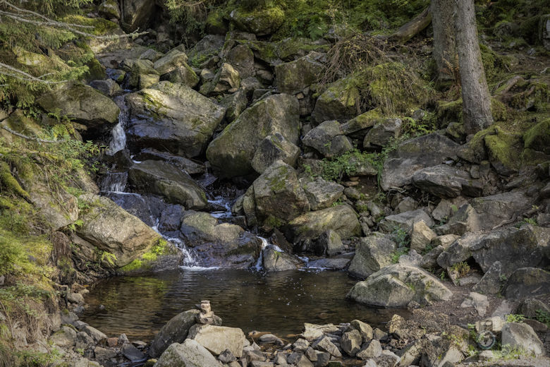 Schwarzwälder Genießerpfad - Viadukt- und Schluchtentour im Herbst