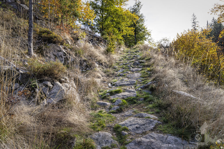 Schwarzwälder Genießerpfad - Viadukt- und Schluchtentour im Herbst