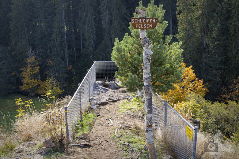 Schwarzwälder Genießerpfad - Viadukt- und Schluchtentour im Herbst