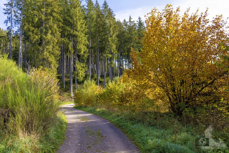 Schwarzwälder Genießerpfad - Viadukt- und Schluchtentour im Herbst - Wanderweg