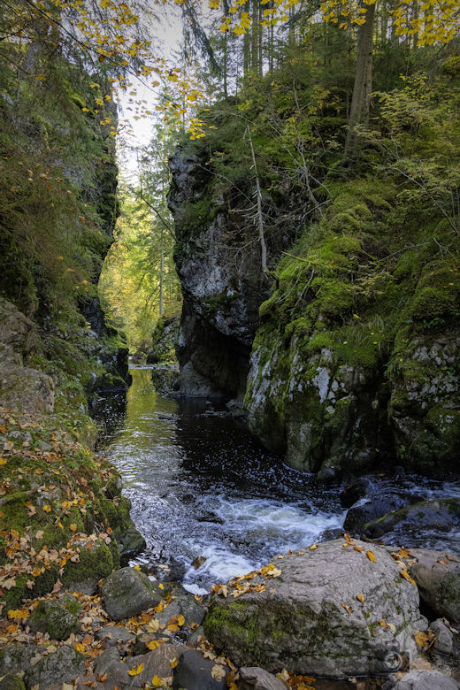 Schwarzwälder Genießerpfad - Viadukt- und Schluchtentour im Herbst - Wutach