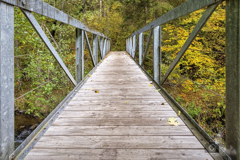 Schwarzwälder Genießerpfad - Viadukt- und Schluchtentour im Herbst - Brücke