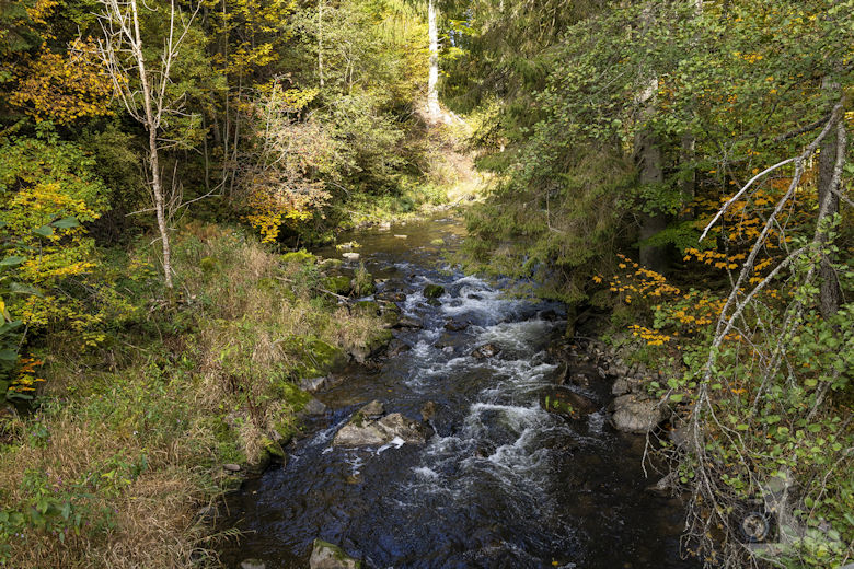 Schwarzwälder Genießerpfad - Viadukt- und Schluchtentour im Herbst - Wutach