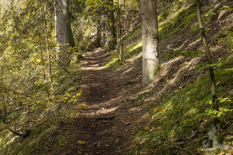Schwarzwälder Genießerpfad - Viadukt- und Schluchtentour im Herbst - Wanderweg